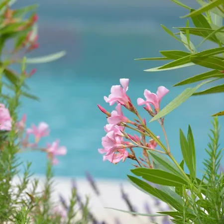 La Bastide 1767 De Charme Avec Piscine 15x5, Climatisation, 4 Chambres, Cuisine Exterieur